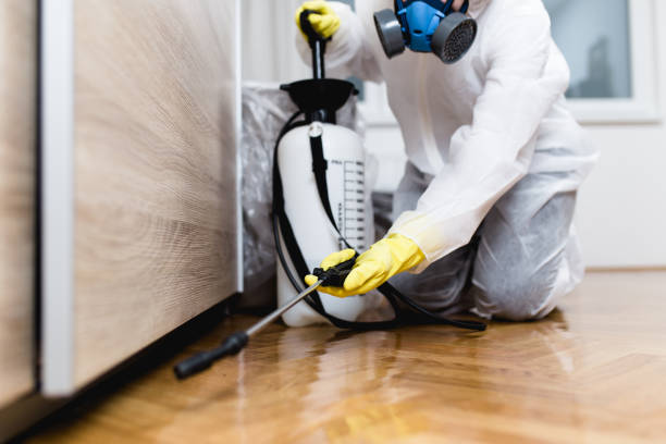 Best Affordable Pest Control Services  in Newville, PA