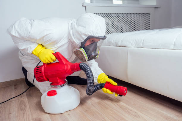 Best Wasp Removal Services  in Newville, PA
