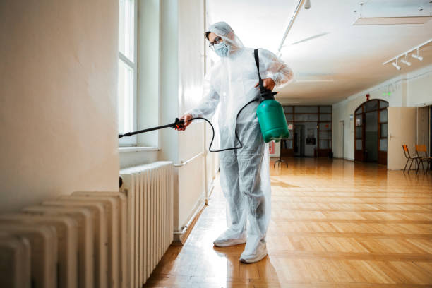 Best Wasp Removal Services  in Newville, PA