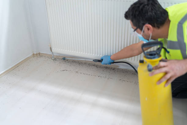 Best Best Pest Control Companies  in Newville, PA