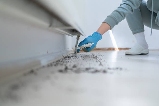 Best Pest Removal Services  in Newville, PA