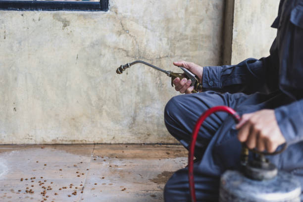 Wasp Removal Services in Newville, PA